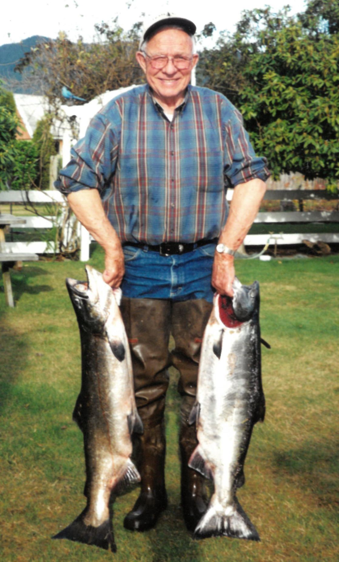 phillips fish.jpg